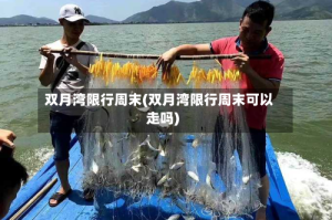 双月湾限行周末(双月湾限行周末可以走吗)