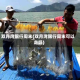 双月湾限行周末(双月湾限行周末可以走吗)