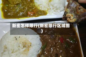 新密怎样限行(新密限行区域图)
