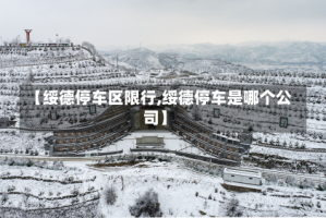 【绥德停车区限行,绥德停车是哪个公司】