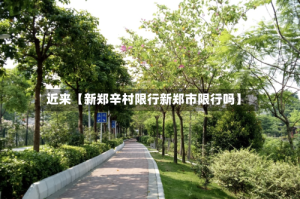 近来【新郑辛村限行新郑市限行吗】