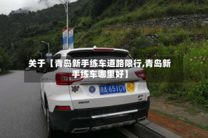 关于【青岛新手练车道路限行,青岛新手练车哪里好】