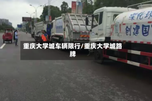 重庆大学城车辆限行/重庆大学城路牌