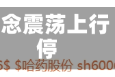 算力租赁概念震荡上行 二六三涨停