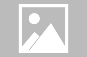 东莞证券又一前高管主动投案，两年前已退休