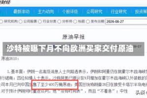 沙特被曝下月不向欧洲买家交付原油