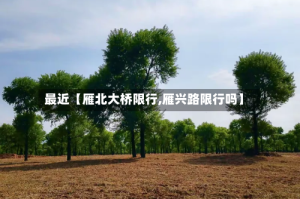 最近【雁北大桥限行,雁兴路限行吗】