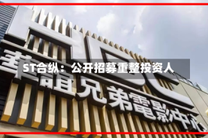 ST合纵：公开招募重整投资人