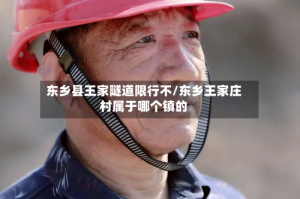 东乡县王家隧道限行不/东乡王家庄村属于哪个镇的