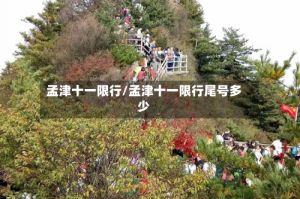 孟津十一限行/孟津十一限行尾号多少