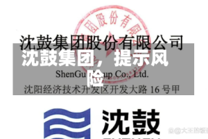 沈鼓集团，提示风险