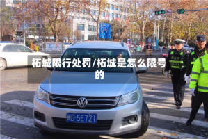 柘城限行处罚/柘城是怎么限号的