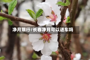 净月限行/长春净月可以进车吗