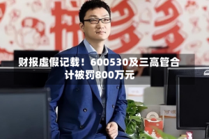 财报虚假记载！600530及三高管合计被罚800万元