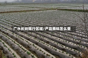 广水长岭限行区域/产品商标怎么查