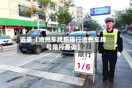 近来【沧州车牌照限行沧州车牌号限行查询】-第3张图片