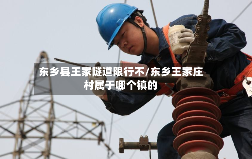 东乡县王家隧道限行不/东乡王家庄村属于哪个镇的-第2张图片