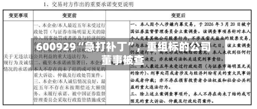 600929“急打补丁	”	，重组标的公司董事被查-第1张图片