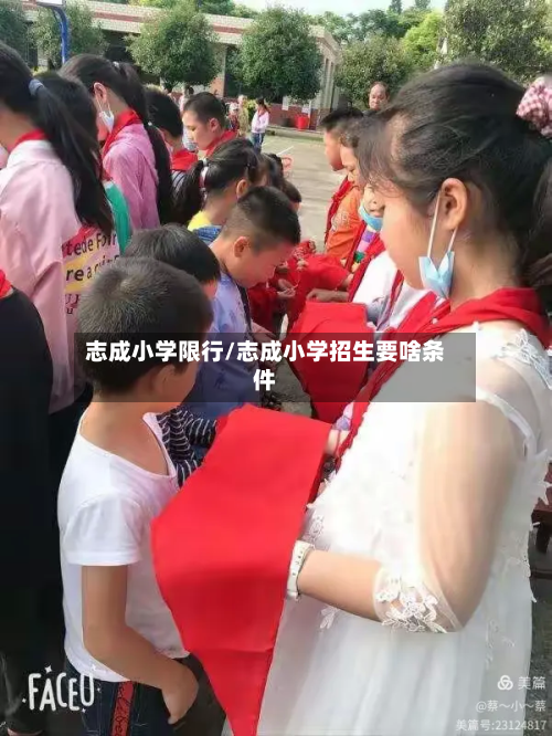 志成小学限行/志成小学招生要啥条件-第2张图片