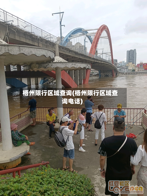 梧州限行区域查询(梧州限行区域查询电话)-第1张图片