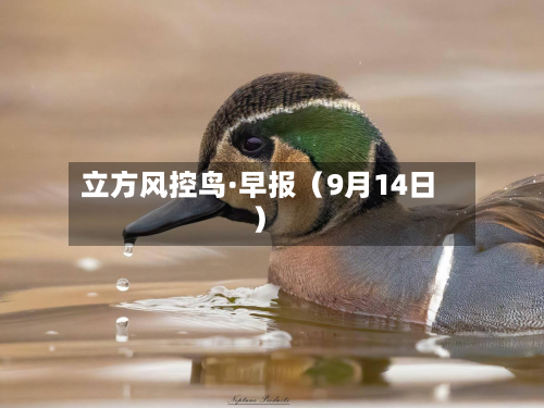 立方风控鸟·早报(9月14日)-第2张图片