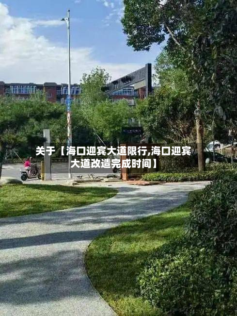 关于【海口迎宾大道限行,海口迎宾大道改造完成时间】-第2张图片