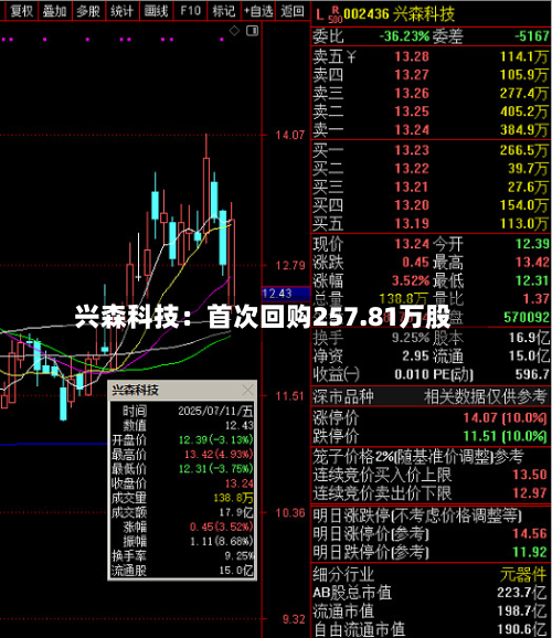 兴森科技：首次回购257.81万股-第2张图片