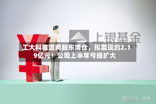 工大科雅遭两股东清仓，拟套现约2.19亿元！公司上半年亏损扩大-第1张图片