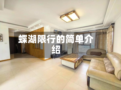 蝶湖限行的简单介绍-第2张图片