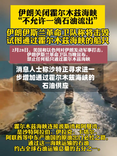 消息人士称沙特正寻求进一步增加通过霍尔木兹海峡的石油供应-第1张图片