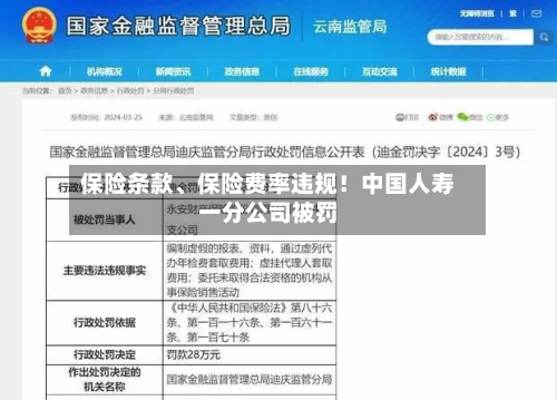 保险条款、保险费率违规！中国人寿一分公司被罚-第3张图片