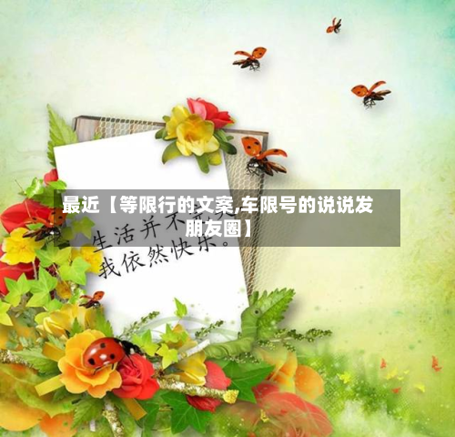 最近【等限行的文案,车限号的说说发朋友圈】-第2张图片