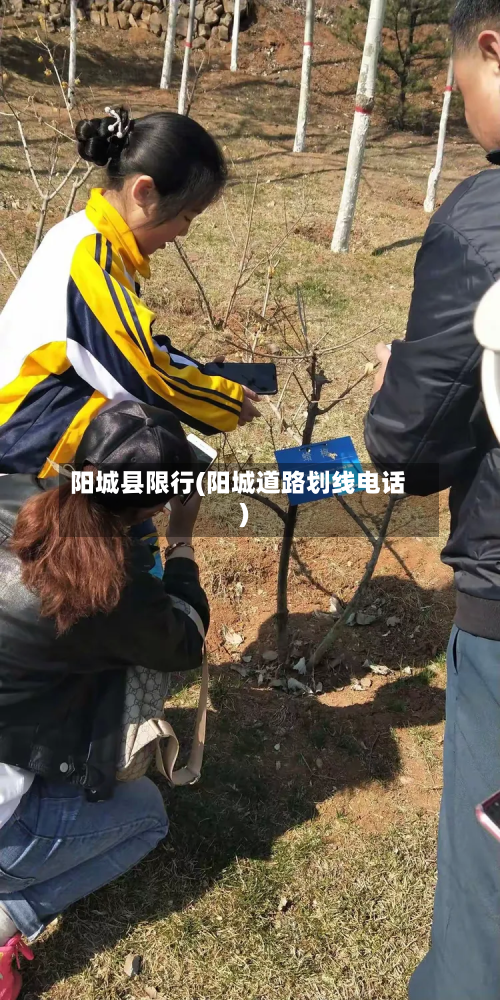 阳城县限行(阳城道路划线电话)-第1张图片
