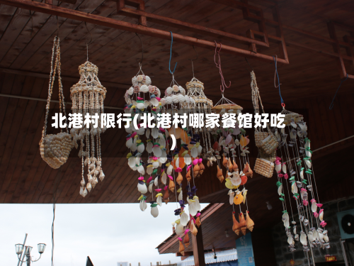 北港村限行(北港村哪家餐馆好吃)-第1张图片