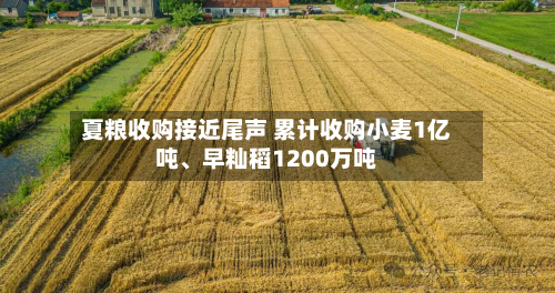夏粮收购接近尾声 累计收购小麦1亿吨、早籼稻1200万吨-第2张图片