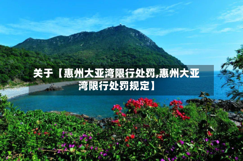 关于【惠州大亚湾限行处罚,惠州大亚湾限行处罚规定】-第2张图片