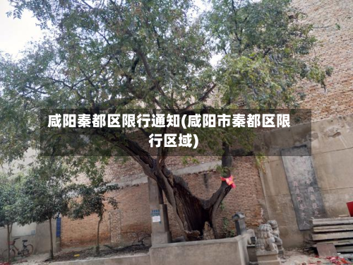 咸阳秦都区限行通知(咸阳市秦都区限行区域)-第2张图片