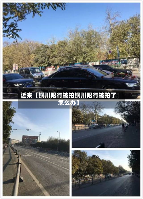 近来【铜川限行被拍铜川限行被拍了怎么办】-第2张图片