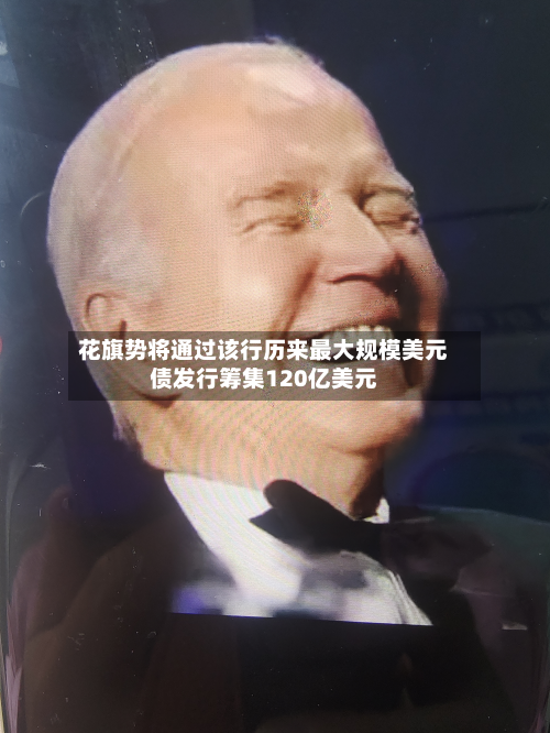 花旗势将通过该行历来最大规模美元债发行筹集120亿美元-第1张图片