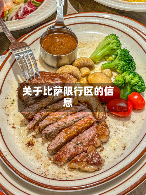 关于比萨限行区的信息-第2张图片