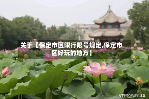 关于【保定市区限行限号规定,保定市区好玩的地方】-第1张图片