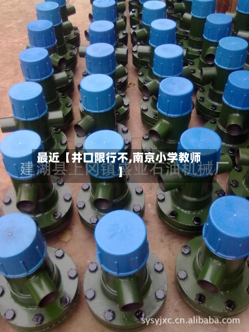 最近【井口限行不,南京小学教师】-第3张图片