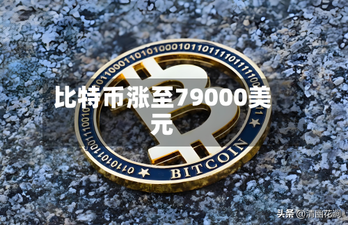 比特币涨至79000美元-第1张图片