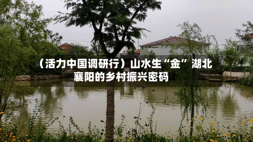 （活力中国调研行）山水生“金	” 湖北襄阳的乡村振兴密码-第1张图片