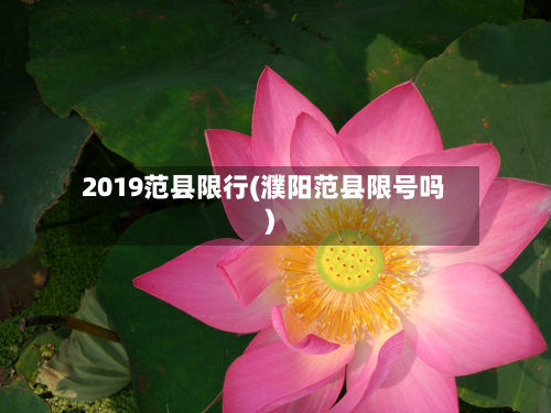 2019范县限行(濮阳范县限号吗)-第2张图片