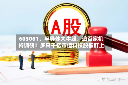 603061	，半导体大牛股，逾百家机构调研！多只千亿市值科技股被盯上-第1张图片