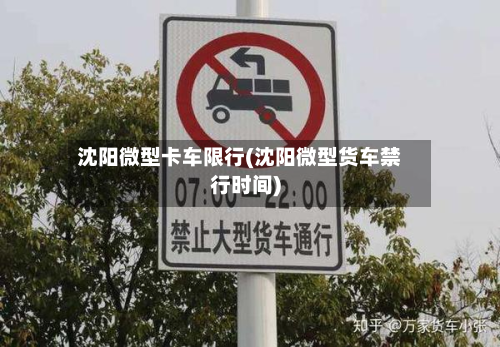 沈阳微型卡车限行(沈阳微型货车禁行时间)-第1张图片