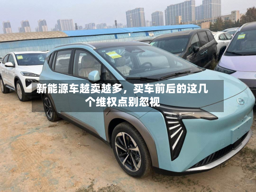 新能源车越卖越多	，买车前后的这几个维权点别忽视-第2张图片