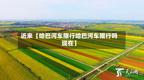 近来【哈巴河车限行哈巴河车限行吗现在】-第1张图片