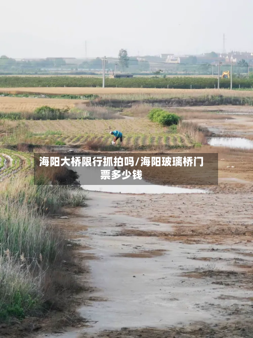 海阳大桥限行抓拍吗/海阳玻璃桥门票多少钱-第2张图片